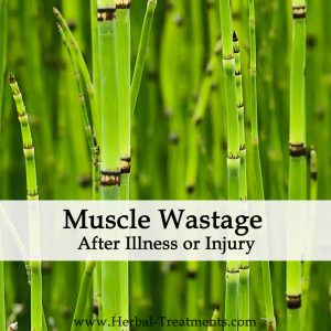 Herbal Medicine for Muscle Wastage Following Illness or Injury