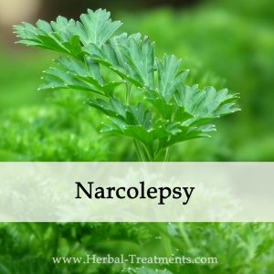Herbal Medicine for Narcolepsy
