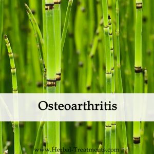 Herbal Medicine for Osteoarthritis