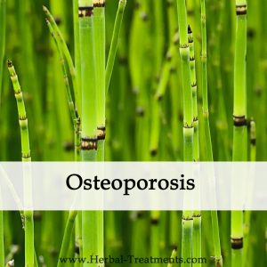 Herbal Medicine for Osteoporosis
