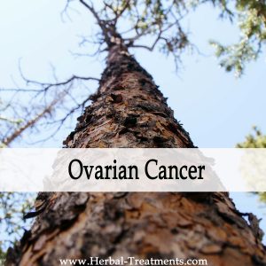 Herbal Medicine for Ovarian Cancer Recovery & Prevention