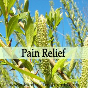 Herbal Treatments for Pain Relief