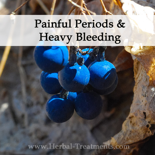 Herbal Medicine for Painful Periods & Heavy Bleeding