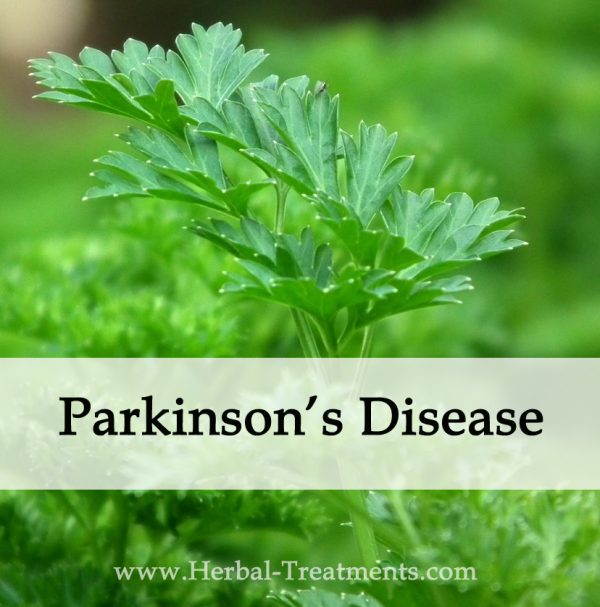 Herbal Medicine for Parkinson's Disease