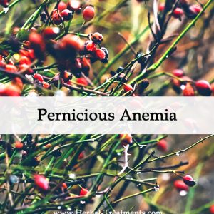 Herbal Medicine for Pernicious Anemia
