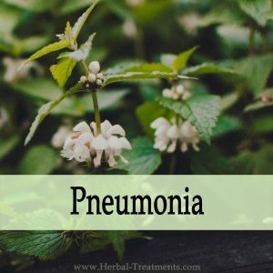 Herbal Medicine for Pneumonia Relief & Recovery