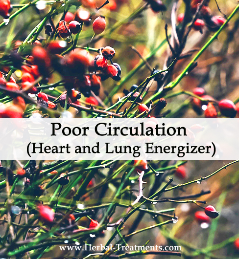 Herbal Medicine for Poor Circulation (Heart and Lung Energizer)