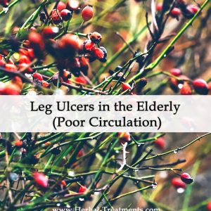 Herbal Medicine for Leg Ulcers in the Elderly (Poor Circulation)