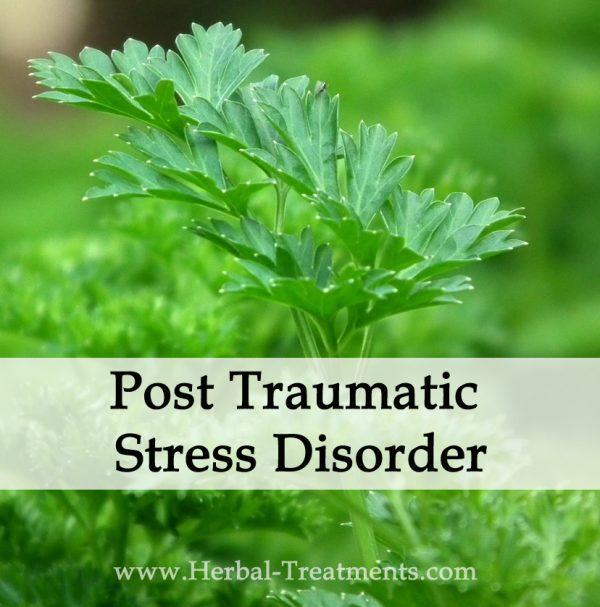 Herbal Medicine for Post Traumatic Stress Disorder - PTSD