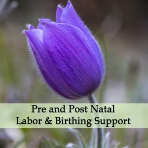 Herbal Medicine for Pre and Post Natal, Labor & Birthing Support