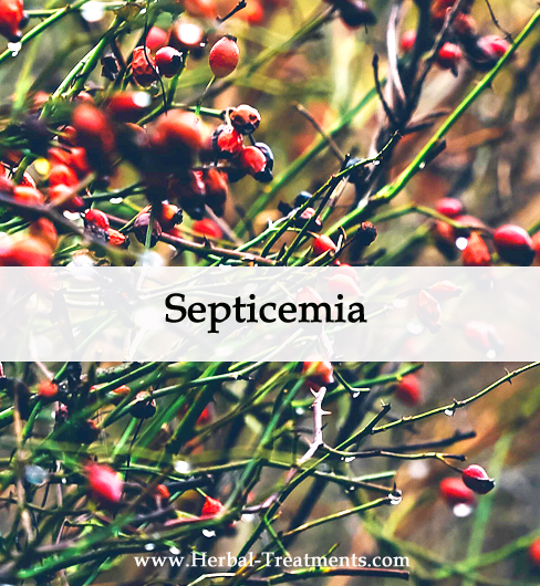 Herbal Medicine for Septicemia
