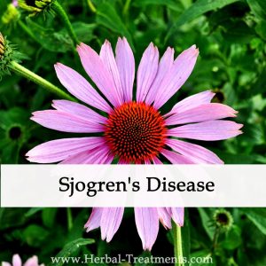 Herbal Medicine for Sjogren's Disease - Dryness & Inflammation