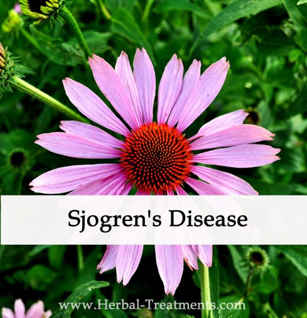 Herbal Medicine for Sjogren's Disease - Dryness & Inflammation