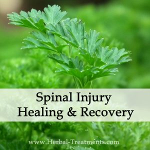 Herbal Medicine for Spinal Injury Healing & Recovery