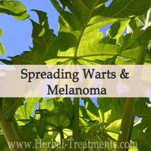 Herbal Treatment Program for Spreading Warts & Melanoma