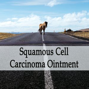 Herbal Treatment - Squamous Cell Carcinoma Ointment for Horses