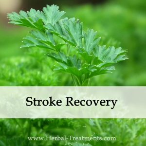 Herbal Medicine for Stroke Recovery