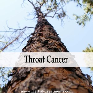 Herbal Medicine for Throat Cancer Recovery & Prevention