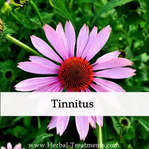 Herbal Medicine for Tinnitus (Ringing, Buzzing in the Ear )