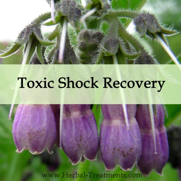Herbal Medicine for Toxic Shock Recovery
