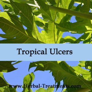 Herbal Medicine to treat Tropical Ulcers