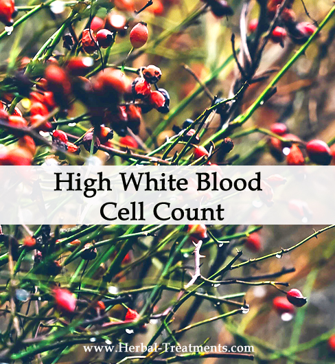 Herbal Medicine for a High White Blood Cell Count