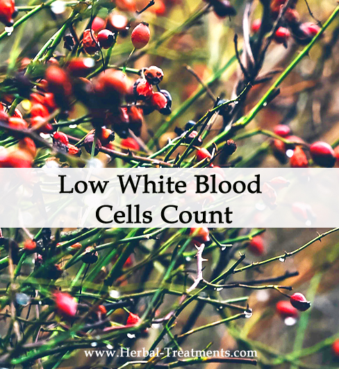 Herbal Medicine for Low White Blood Cells Count