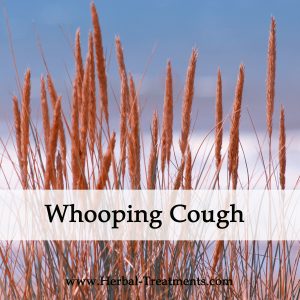 Herbal Medicine for Whooping Cough
